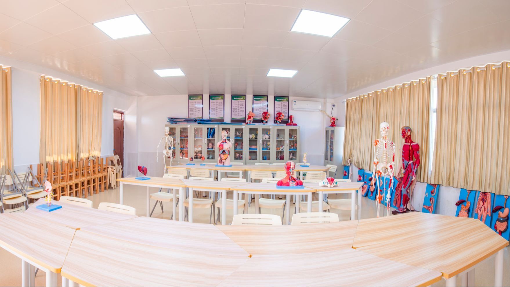 人體形態(tài)與結(jié)構(gòu)實(shí)訓(xùn)室