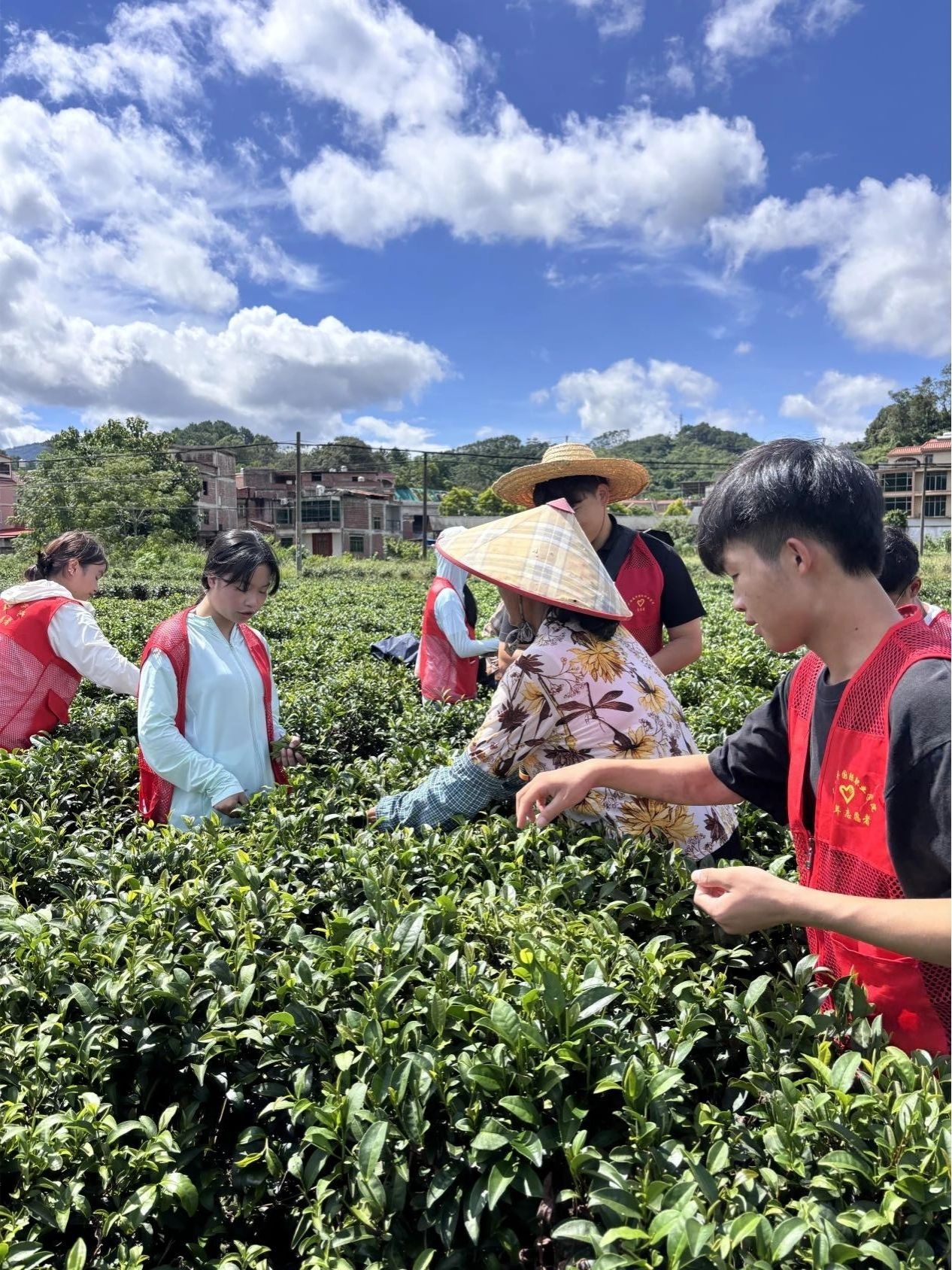 學(xué)生們跟隨村民進(jìn)行實地調(diào)研