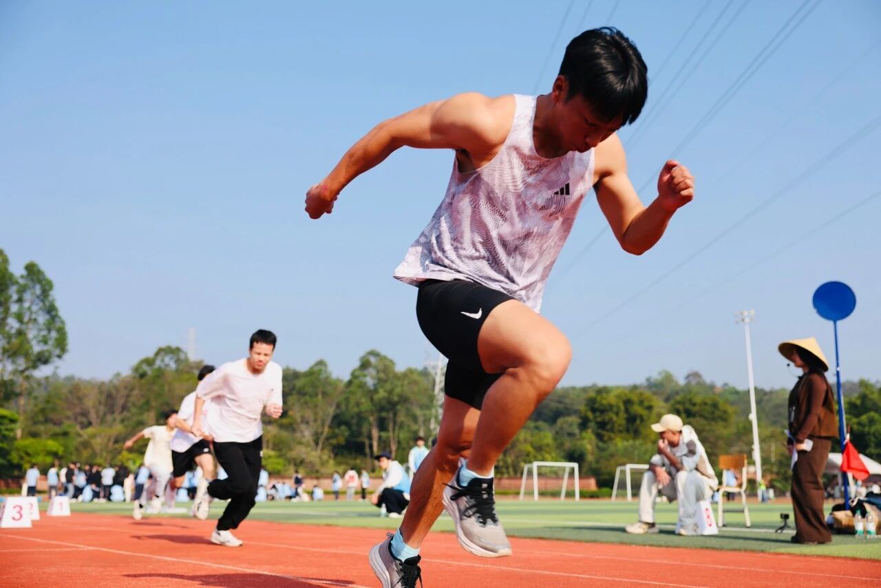 photo_gallary photo_gallary