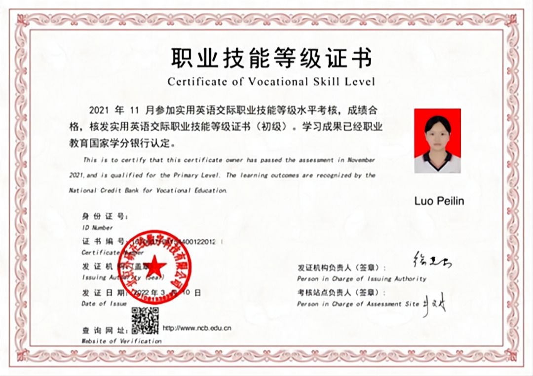 技能等級(jí)職業(yè)證書(shū)